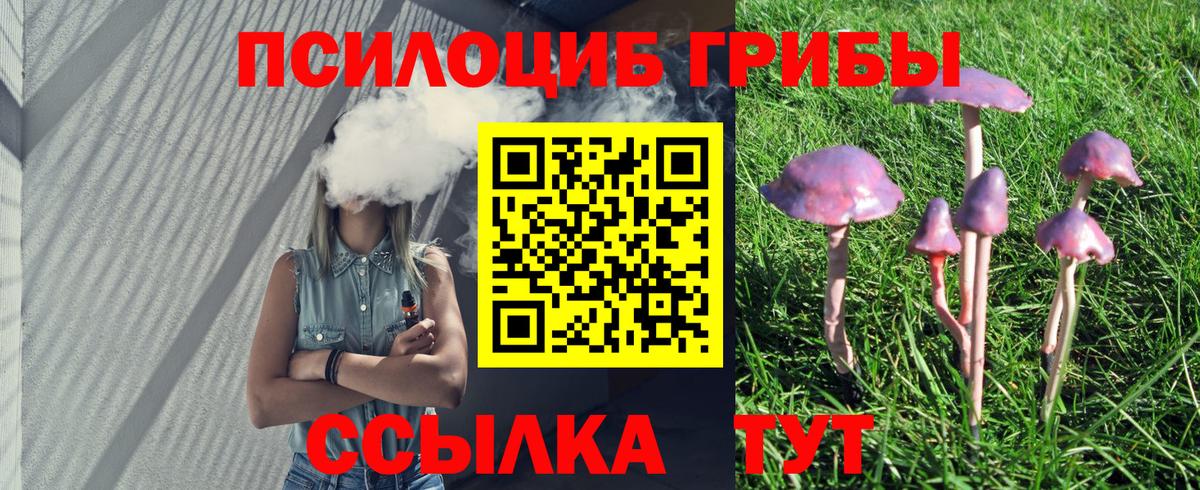 Галлюциногенные грибы Magic Shrooms  Вход с VPN  Галлюциногенные грибы MAGIC MUSHROOMS  Ковров 