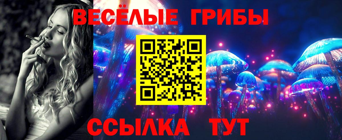 Псилоцибиновые грибы мухоморы Ковров